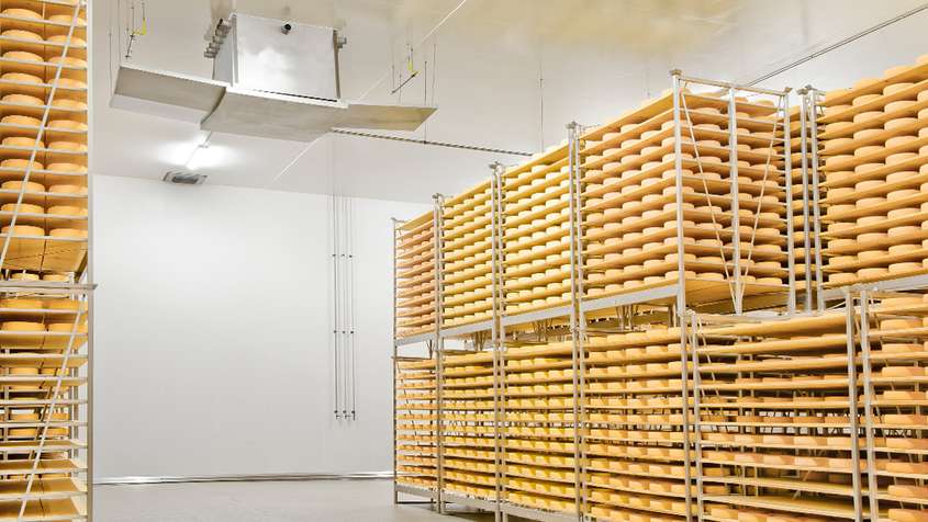 Reifender Käse in einem weißen Raum, darüber ein ESJET-Gerät mit ausgeklappten Seitenflügeln